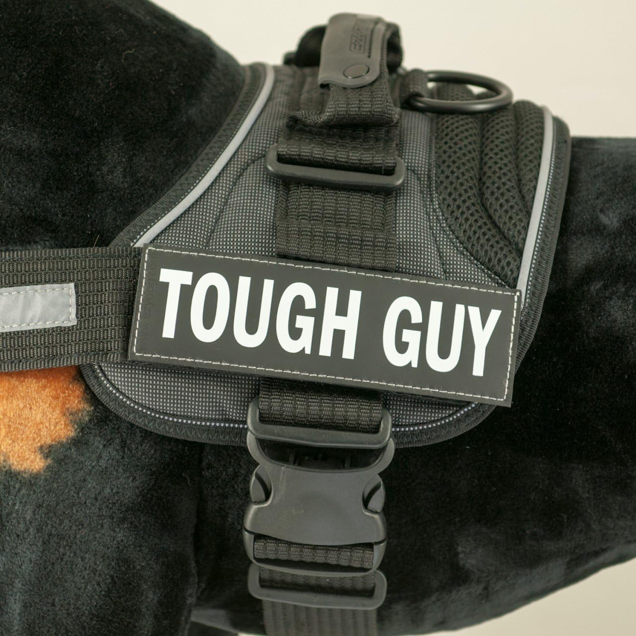 Side Badge - Clearly Identifies Your Dog When Wearing the Convert Dog Harness - Set of Two Badges (Tough Guy, Small)