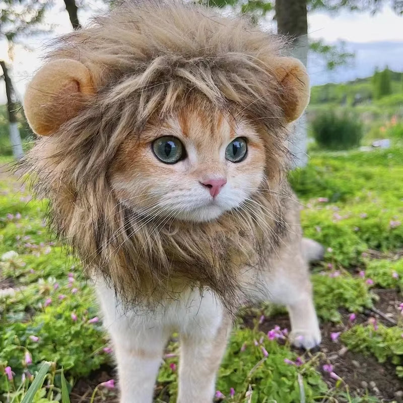 Cute Lion's Mane winter hat for cats