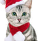 Christmas Cat Hats Costume, Santa Hat with Red Scarf for Cats Small Dogs, Rabbit Christmas Hat Outfit, Small Xmas Apparel for Statue, Toys Decoration