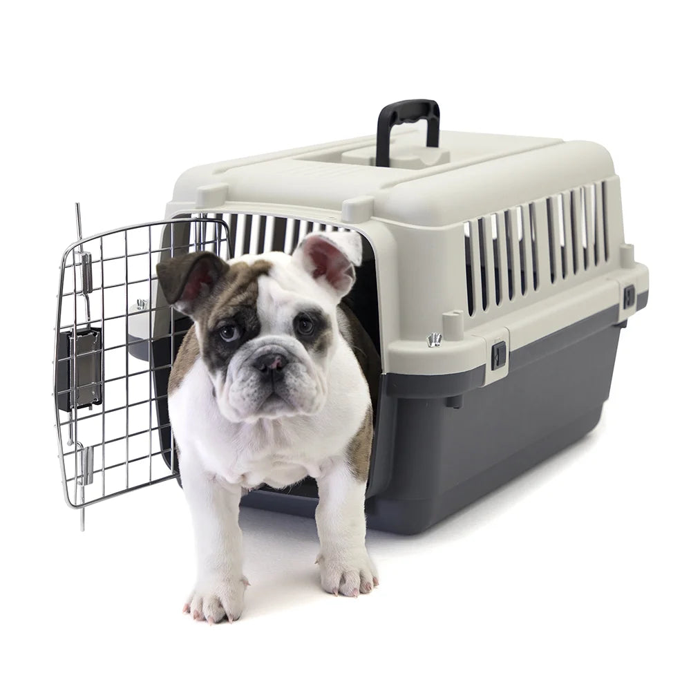 Plastic Dog IATA Airline Approved Kennel Carrier, Small, 1 Piece