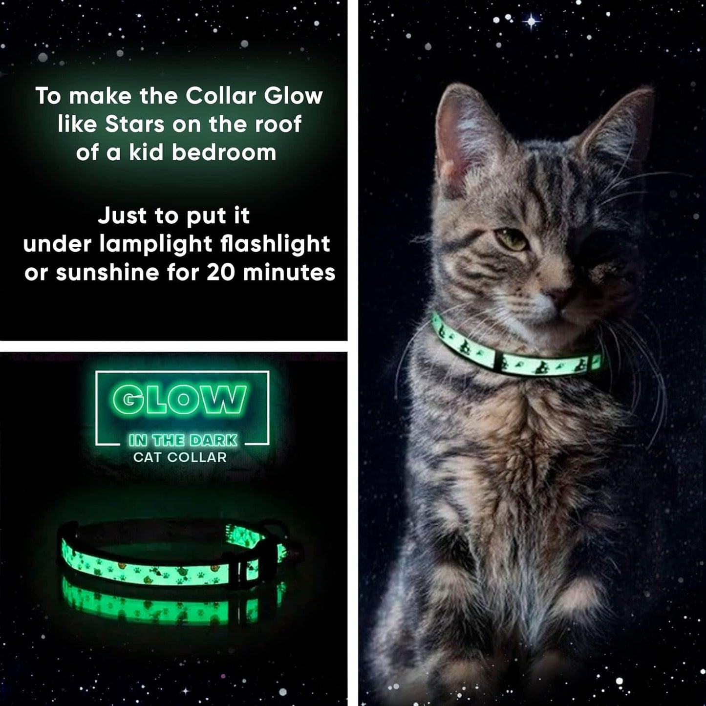 Glow in the Dark Cat Collar with Safety Buckle and Removable Bell Cat Collar Kitten Collar Teal Cat Collar