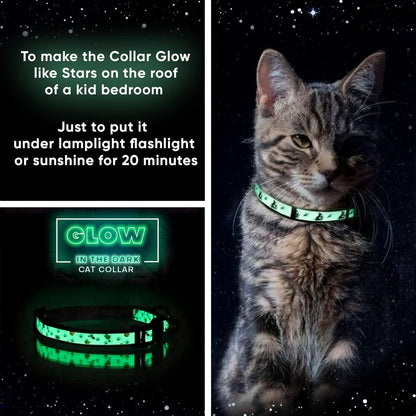 Glow in the Dark Cat Collar with Safety Buckle and Removable Bell Cat Collar Kitten Collar Teal Cat Collar