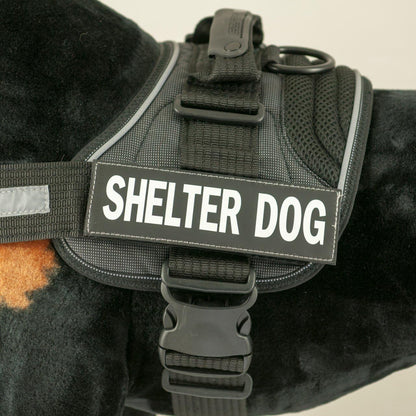 Side Badge - Clearly Identifies Your Dog When Wearing the Convert Dog Harness - Set of Two Badges (Tough Guy, Small)