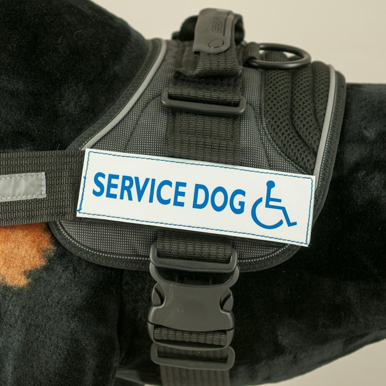 Side Badge - Clearly Identifies Your Dog When Wearing the Convert Dog Harness - Set of Two Badges (Tough Guy, Small)