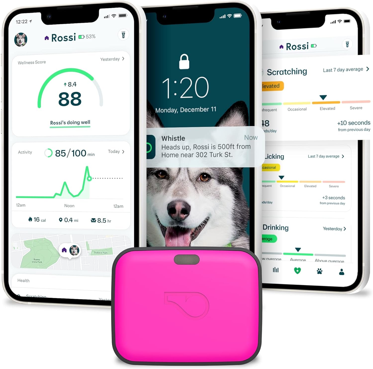 Go Explore/The Ultimate Health + GPS Location Tracker for Pets/Green (100-04202-00)