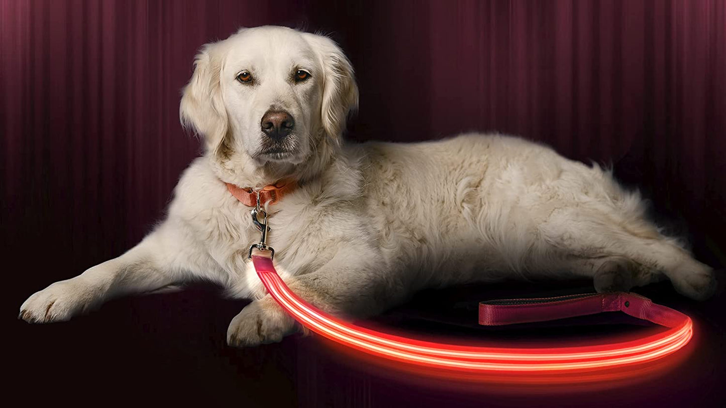 LED Light up Dog Leash | Ultra High Visibility up to 350 Yards | 3 Lighting Modes | USB Rechargeable, No Batteries Needed | Padded Handle & Rotating Swivel Clasp to Prevent Leash Tangling