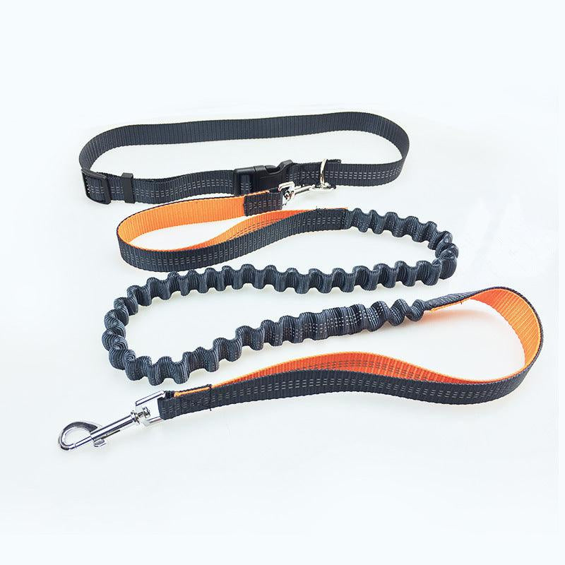 Ultimate Freedom Dog Leash: the Perfect Companion for Active Dogs