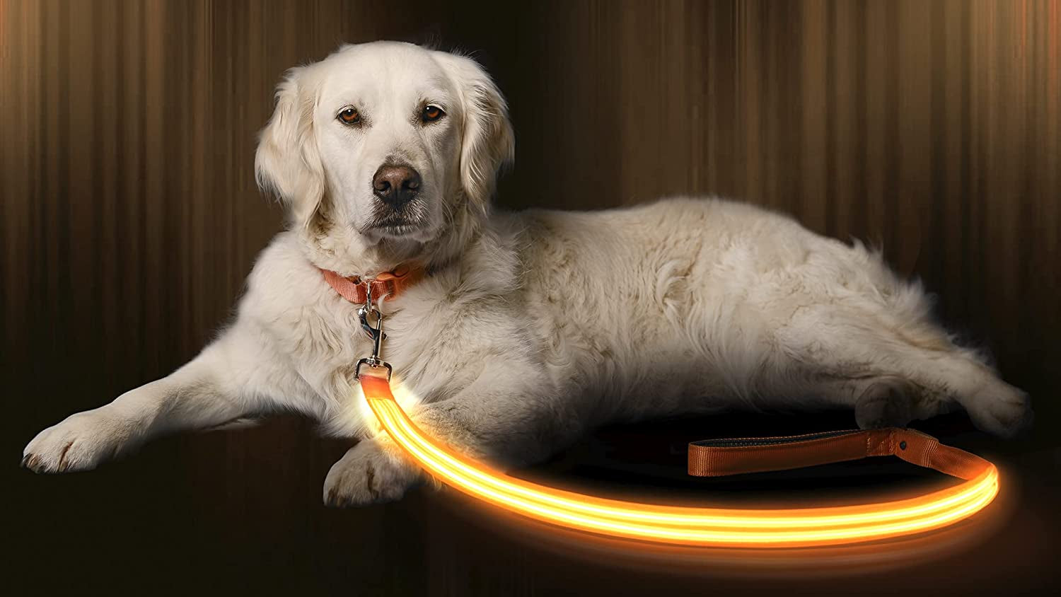 LED Light up Dog Leash | Ultra High Visibility up to 350 Yards | 3 Lighting Modes | USB Rechargeable, No Batteries Needed | Padded Handle & Rotating Swivel Clasp to Prevent Leash Tangling