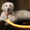 LED Light up Dog Leash | Ultra High Visibility up to 350 Yards | 3 Lighting Modes | USB Rechargeable, No Batteries Needed | Padded Handle & Rotating Swivel Clasp to Prevent Leash Tangling