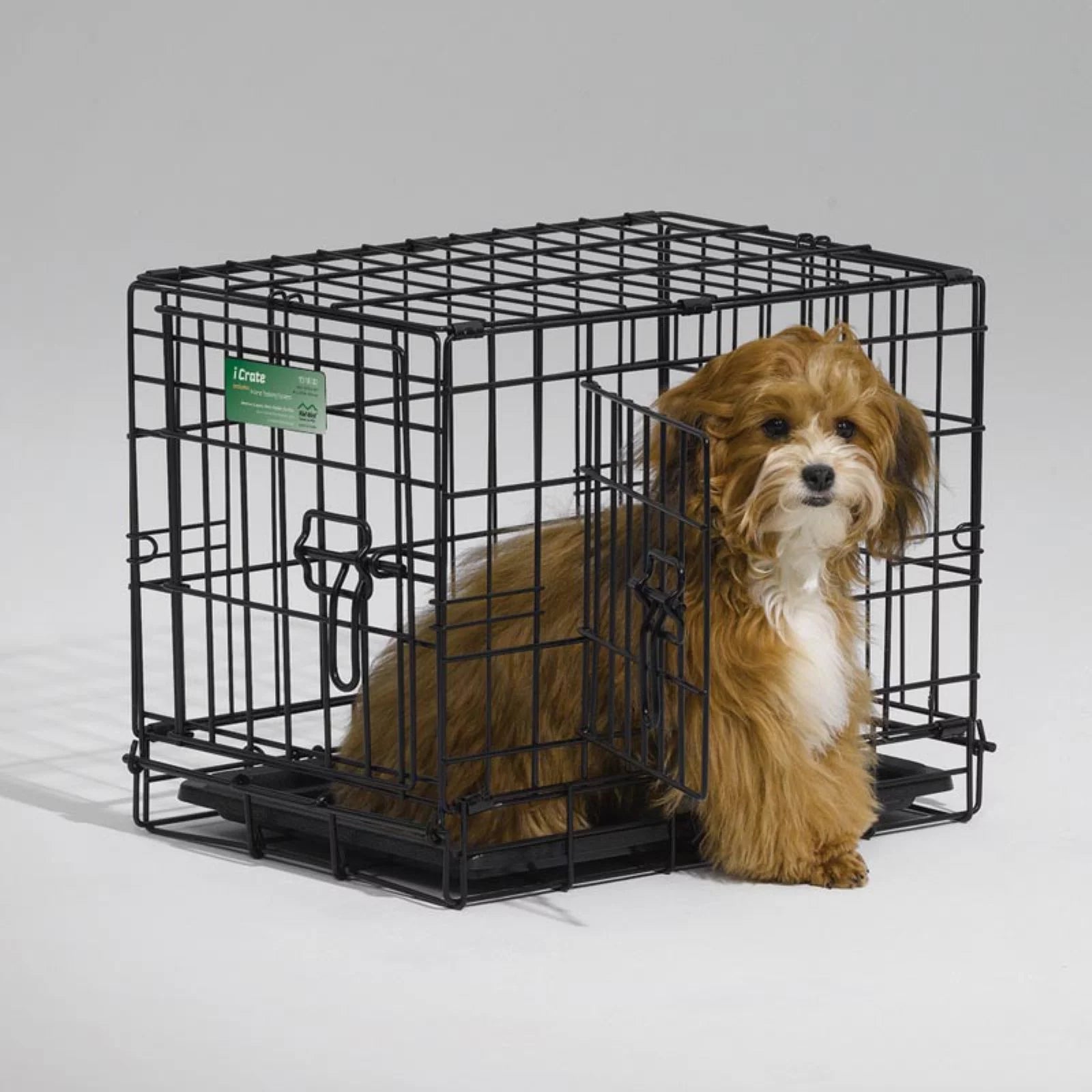 Newly Enhanced Double Door Icrate Dog Crate, Includes Leak-Proof Pan, Floor Protecting Feet, Divider Panel & New Patented Features, Measures 36.6L X 21.9W X 24.5H Inches, Black