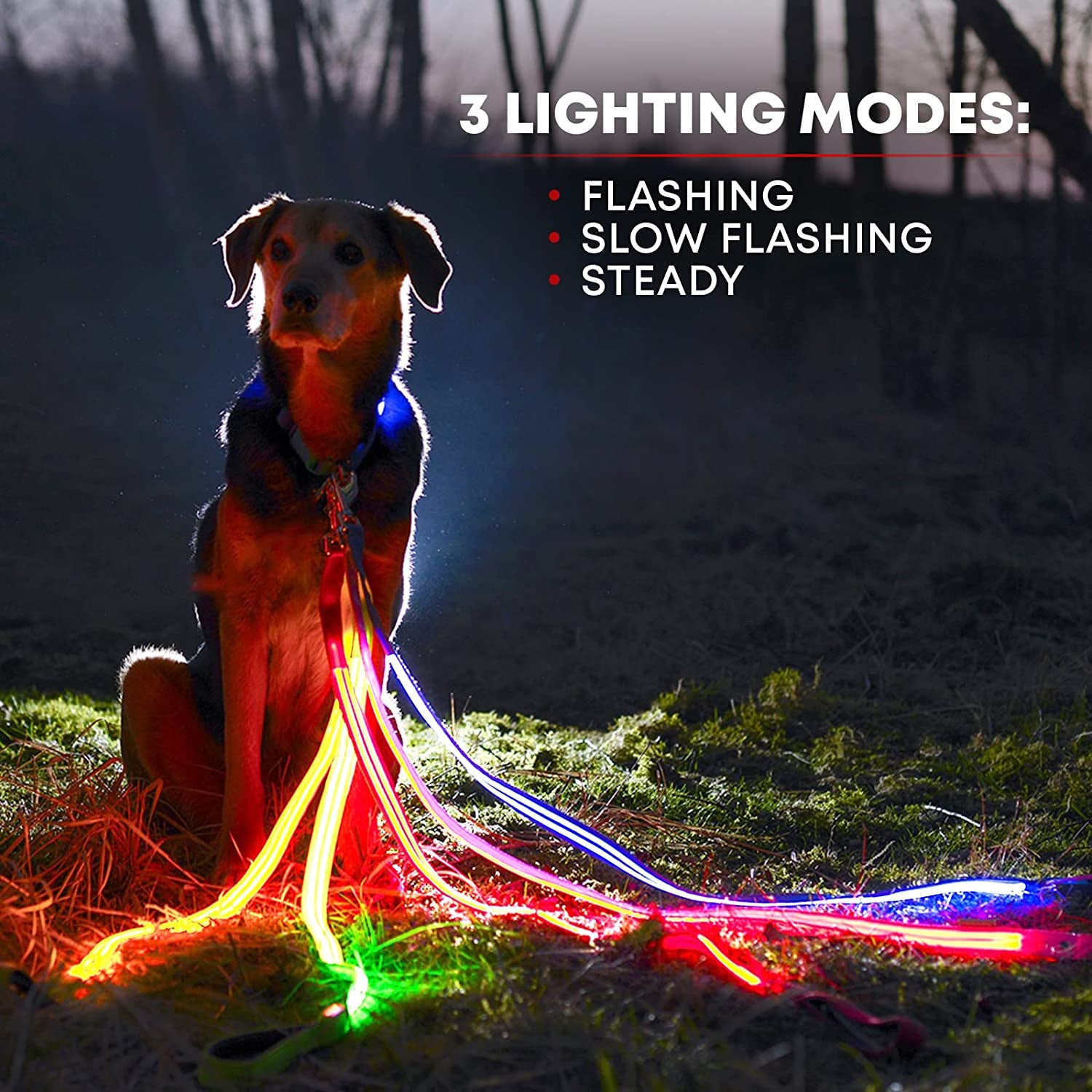 LED Light up Dog Leash | Ultra High Visibility up to 350 Yards | 3 Lighting Modes | USB Rechargeable, No Batteries Needed | Padded Handle & Rotating Swivel Clasp to Prevent Leash Tangling