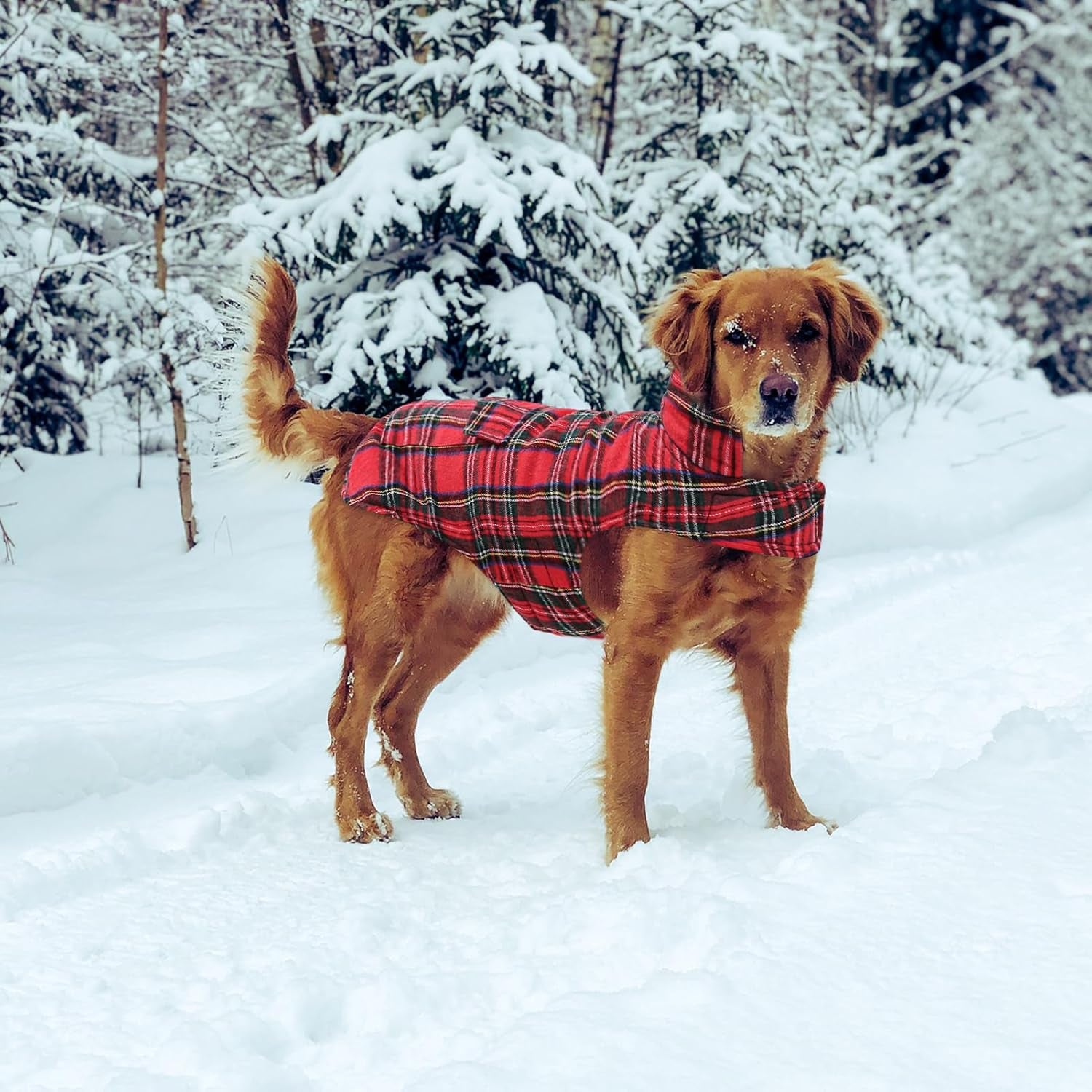 Plaid Dog Fleece Vest, Reversible Warm Dog Clothes, Winter Dog Coat for Cold Weather, Dog Fleece Jacket with Pockets, Sweaters for Small Medium Large Dogs Christmas Costume