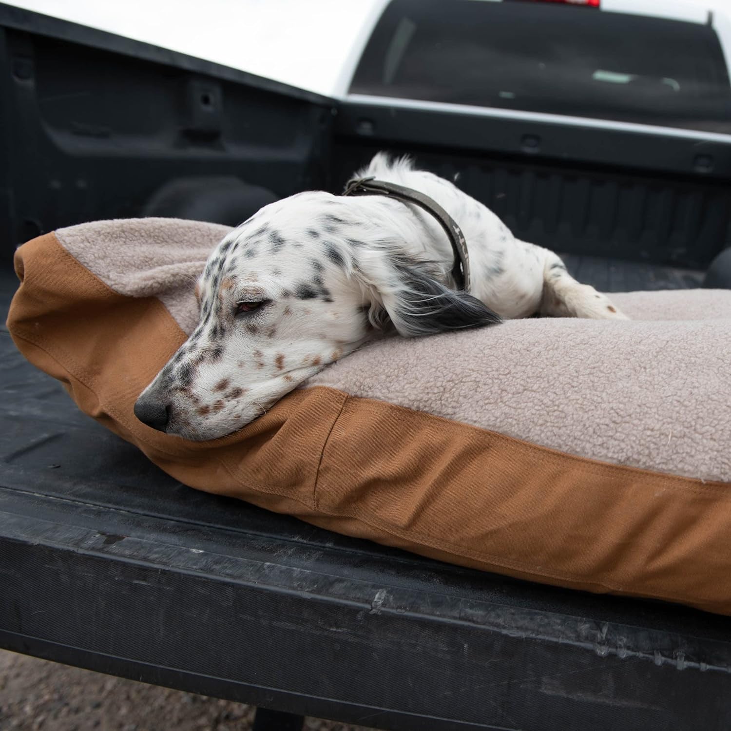 Firm Duck Dog Bed, Durable Canvas Pet Bed with Water-Repellent Shell, Medium, Tarmac Duck Camo