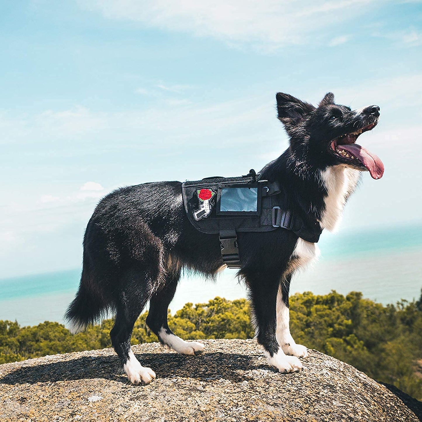 Service Dog Harness, Large Dog Harness Removable Neck Strap Compatible with Assistance Harness & Handle (Black, Short Version)