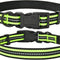 | Nylon Night Light Glow Collar for Medium Dogs | Reflective Band Cat Collar | Fluorescence Self-Luminescence Strap Puppy Collar | Safe Night Walk Collars for Dogs (Lime, S)
