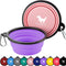 Collapsible Dog Bowls for Travel, 2-Pack Dog Portable Water Bowl for Dogs Cats Pet Foldable Feeding Watering Dish for Traveling Camping Walking with 2 Carabiners, BPA Free