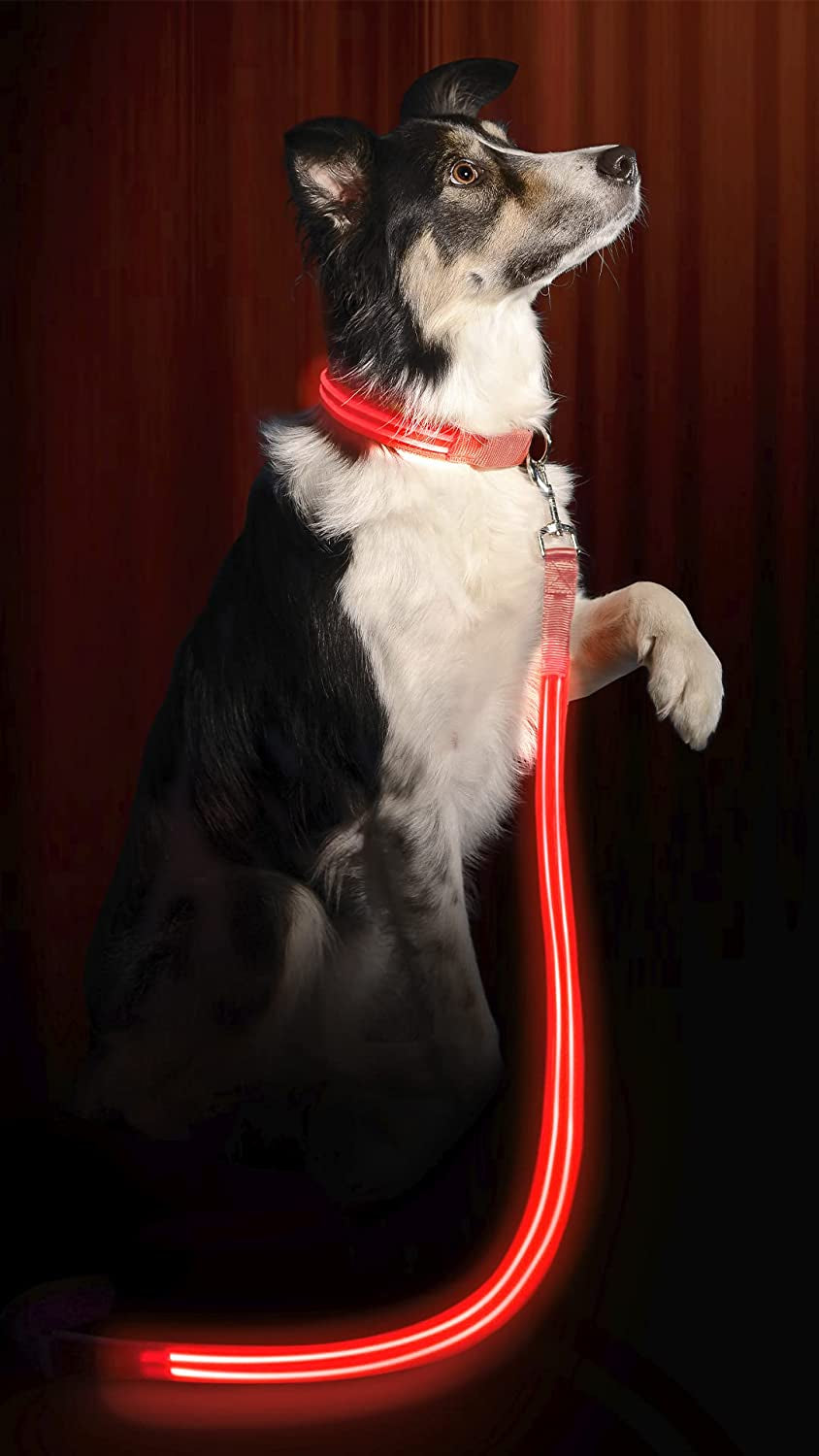 LED Light up Dog Leash | Ultra High Visibility up to 350 Yards | 3 Lighting Modes | USB Rechargeable, No Batteries Needed | Padded Handle & Rotating Swivel Clasp to Prevent Leash Tangling