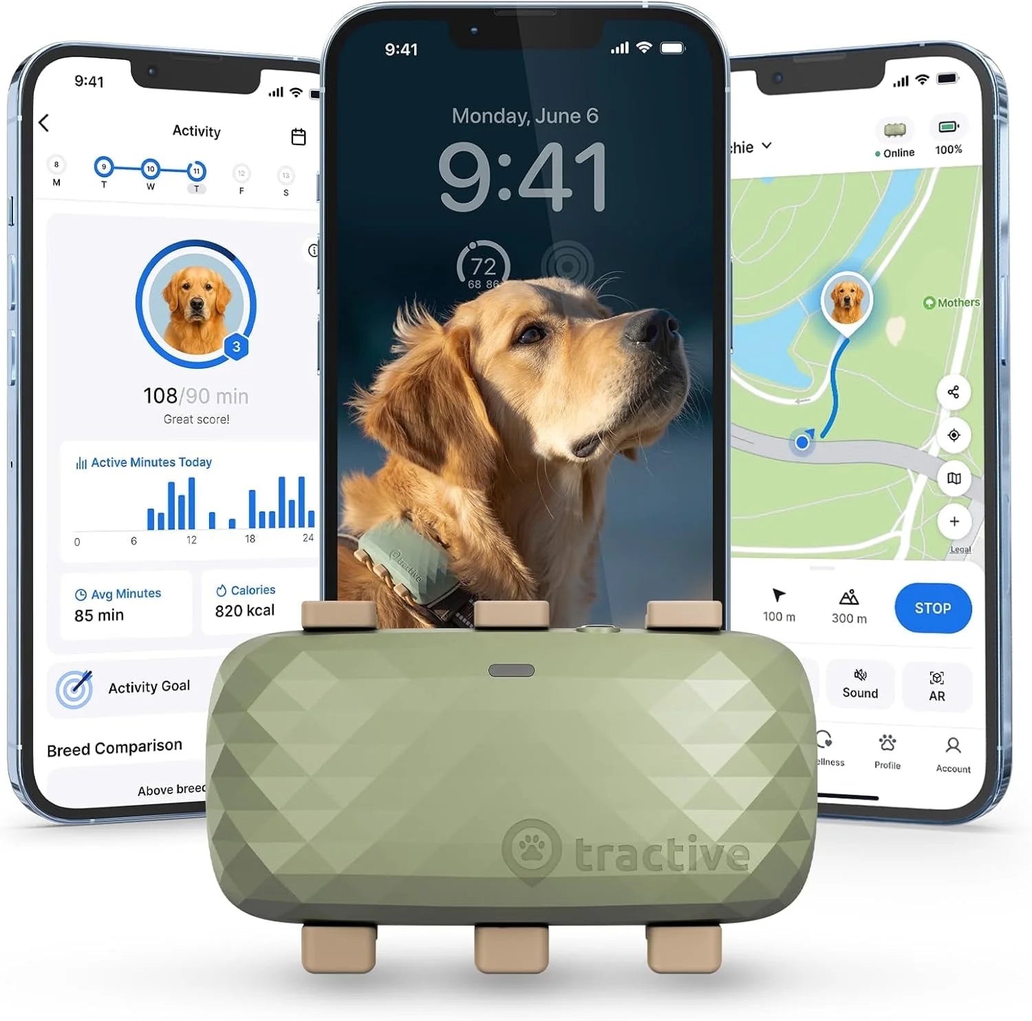 XL Smart Dog GPS Tracker with Vital Signs Monitoring (Green)