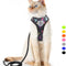 Cat Harness and Leash Escape Proof, Adjustable Breathable Cat Vest Harness with Reflective Trim, Cat Leash and Harness Set for Large Small Cats Kittens Puppies