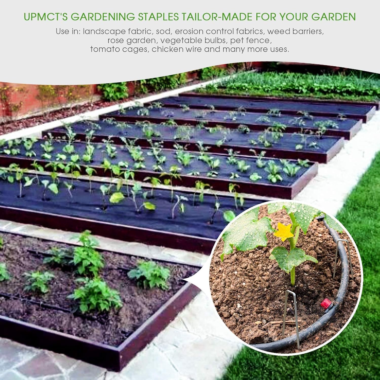 6 Inch Galvanized Garden Landscape Staples Stakes, 25 50 100 PCS Anti-Rust Garden Staples U-Shaped Landscape Pins for Secure Lawn Fabric (25, 6 Inch)