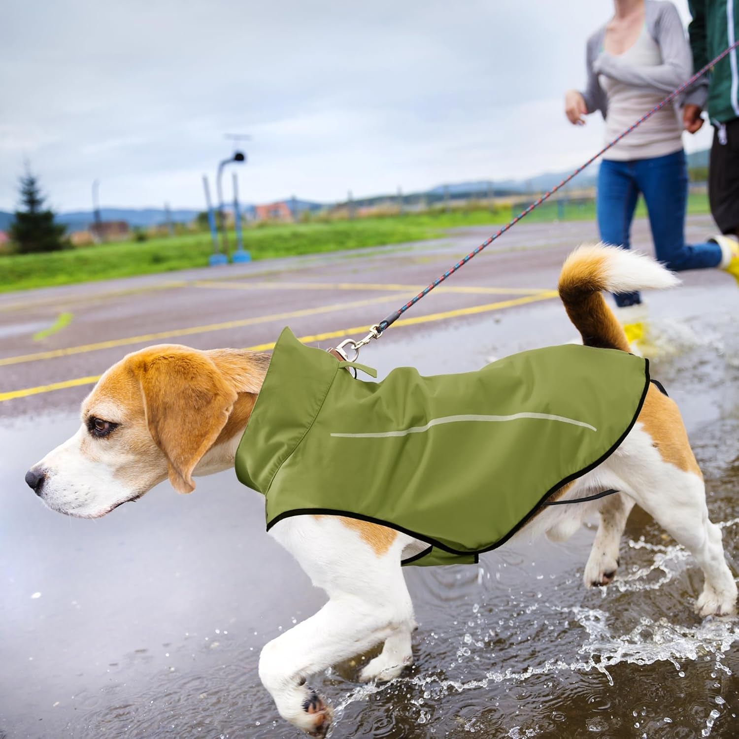 | Dog Raincoat | Adjustable Water Proof Pet Clothes | Lightweight Rain Jacket with Reflective Strip | Easy Step in Closure, Lime Yellow, Large