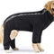 Dog Slush Suit Dog Bodysuit for Rain and Snow Full Body Dog Suit Water-Resistant Dog Onesie (Black, 16 (15-17" Back Length))