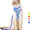 Cat Harness and Leash Escape Proof, Adjustable Breathable Cat Vest Harness with Reflective Trim, Cat Leash and Harness Set for Large Small Cats Kittens Puppies