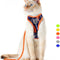 Cat Harness and Leash Escape Proof, Adjustable Breathable Cat Vest Harness with Reflective Trim, Cat Leash and Harness Set for Large Small Cats Kittens Puppies