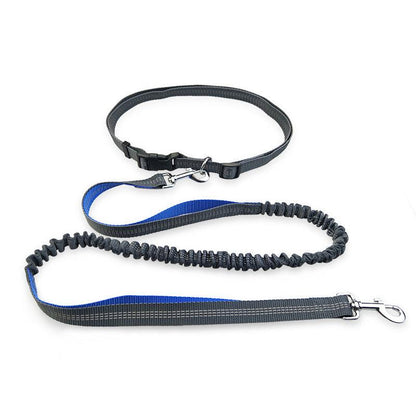 Ultimate Freedom Dog Leash: the Perfect Companion for Active Dogs