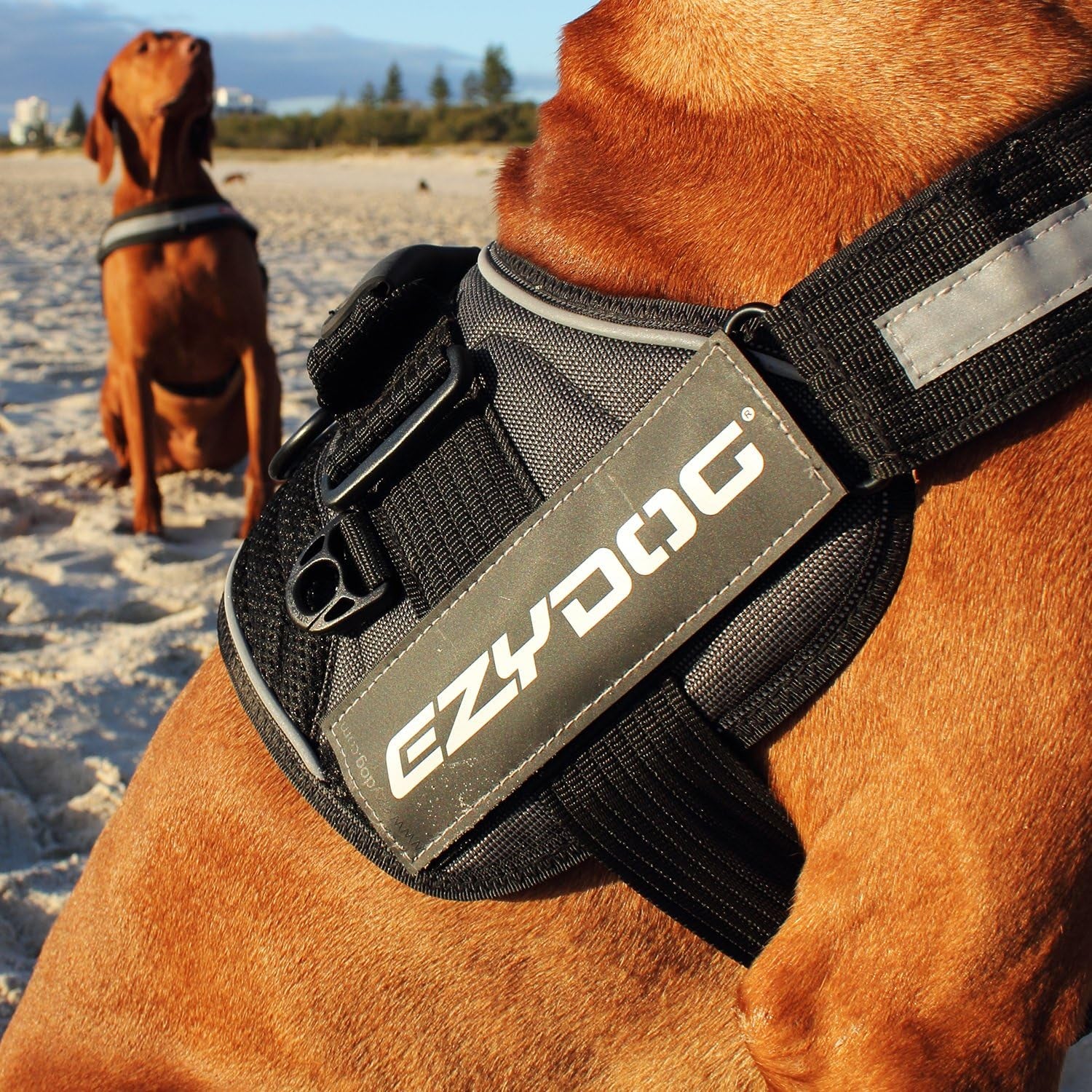 Side Badge - Clearly Identifies Your Dog When Wearing the Convert Dog Harness - Set of Two Badges (Tough Guy, Small)