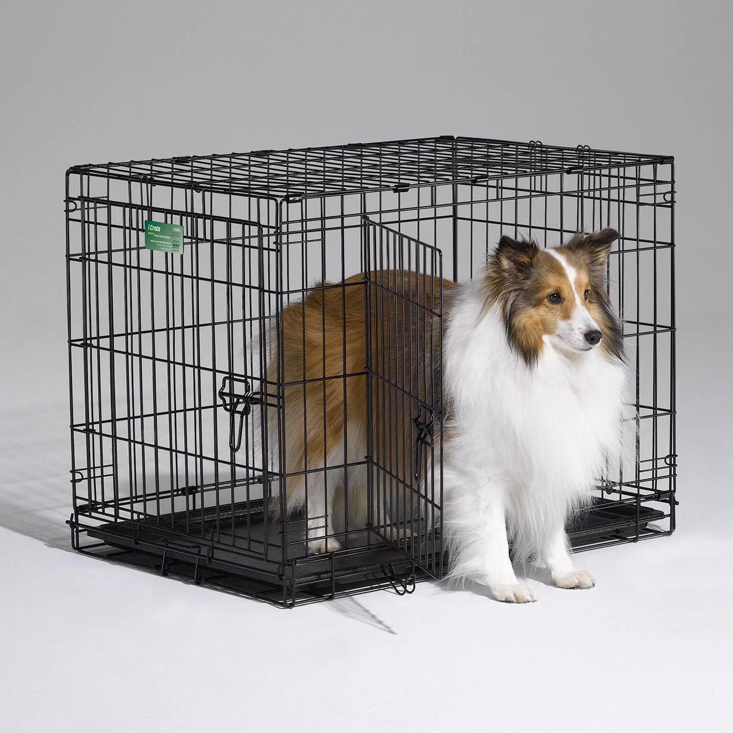 Newly Enhanced Double Door Icrate Dog Crate, Includes Leak-Proof Pan, Floor Protecting Feet, Divider Panel & New Patented Features, Measures 36.6L X 21.9W X 24.5H Inches, Black