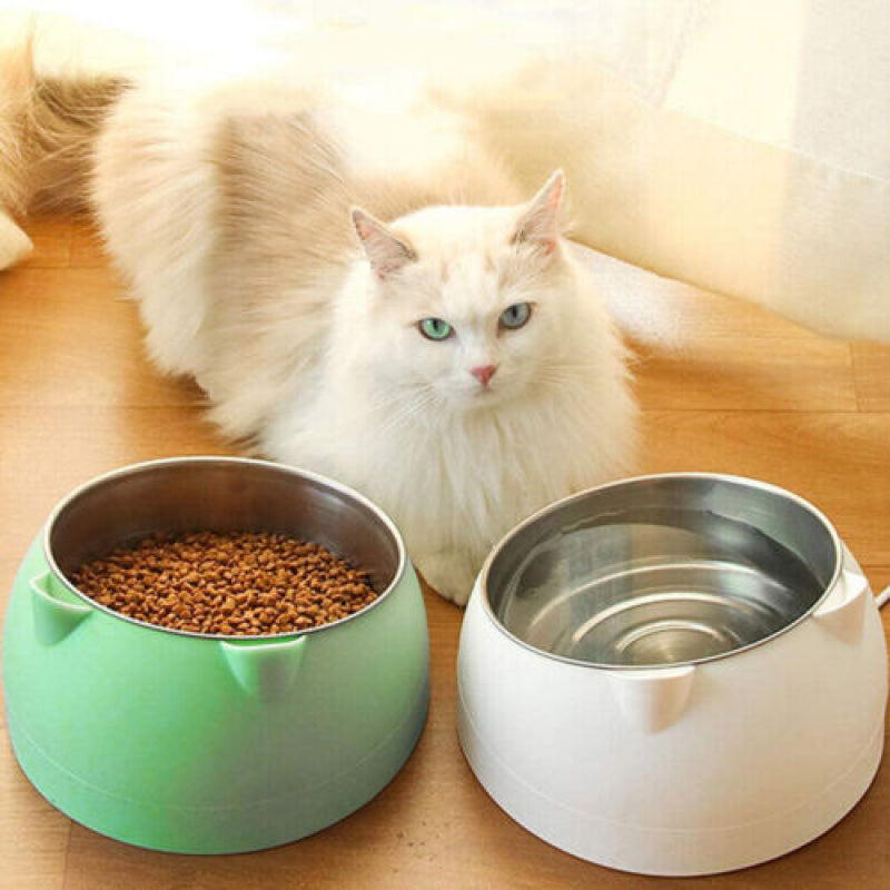 Cat Bowl Stainless Steel Tilted Raised Pet Food Feeder Slant Dish 200Ml