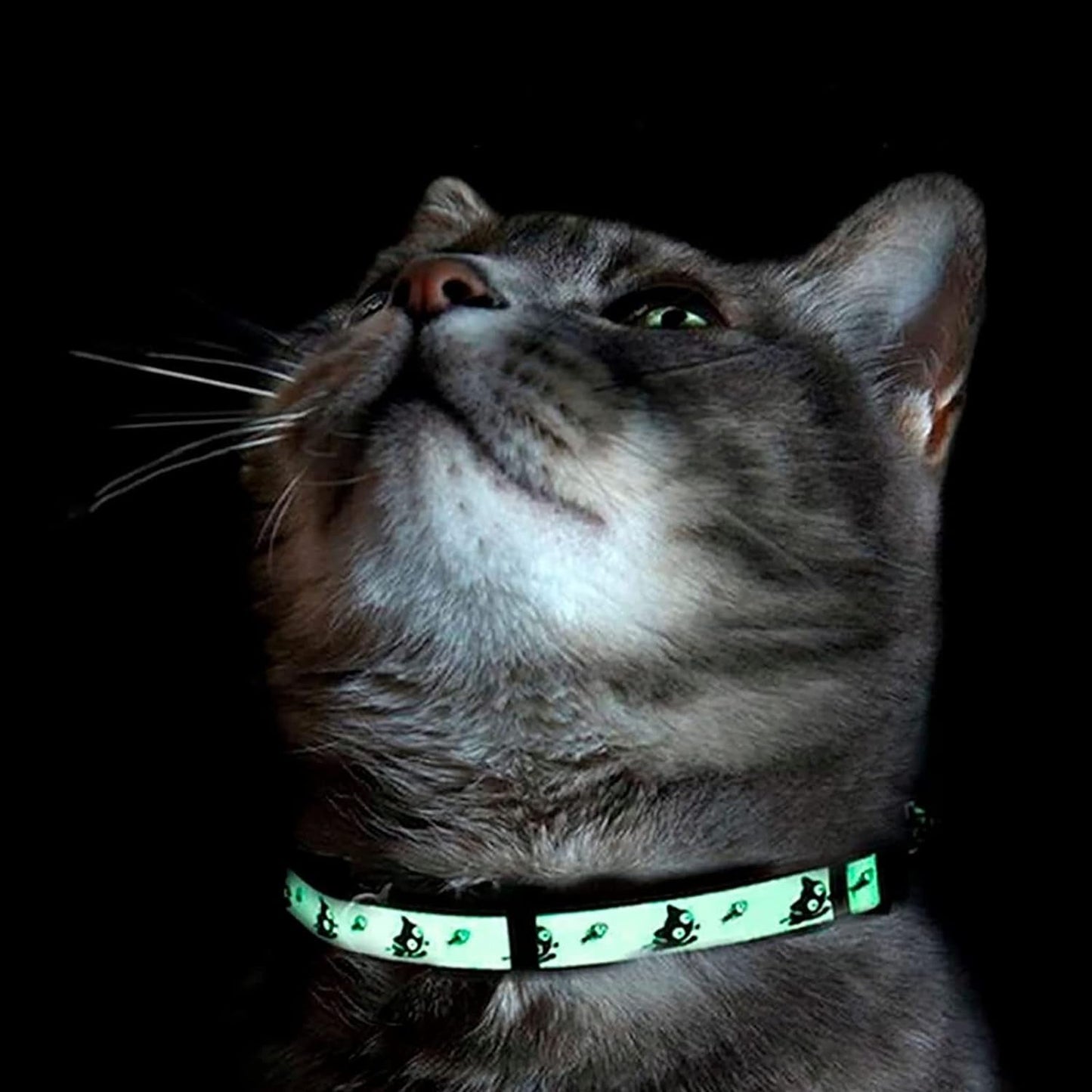 Glow in the Dark Cat Collar with Safety Buckle and Removable Bell Cat Collar Kitten Collar Teal Cat Collar