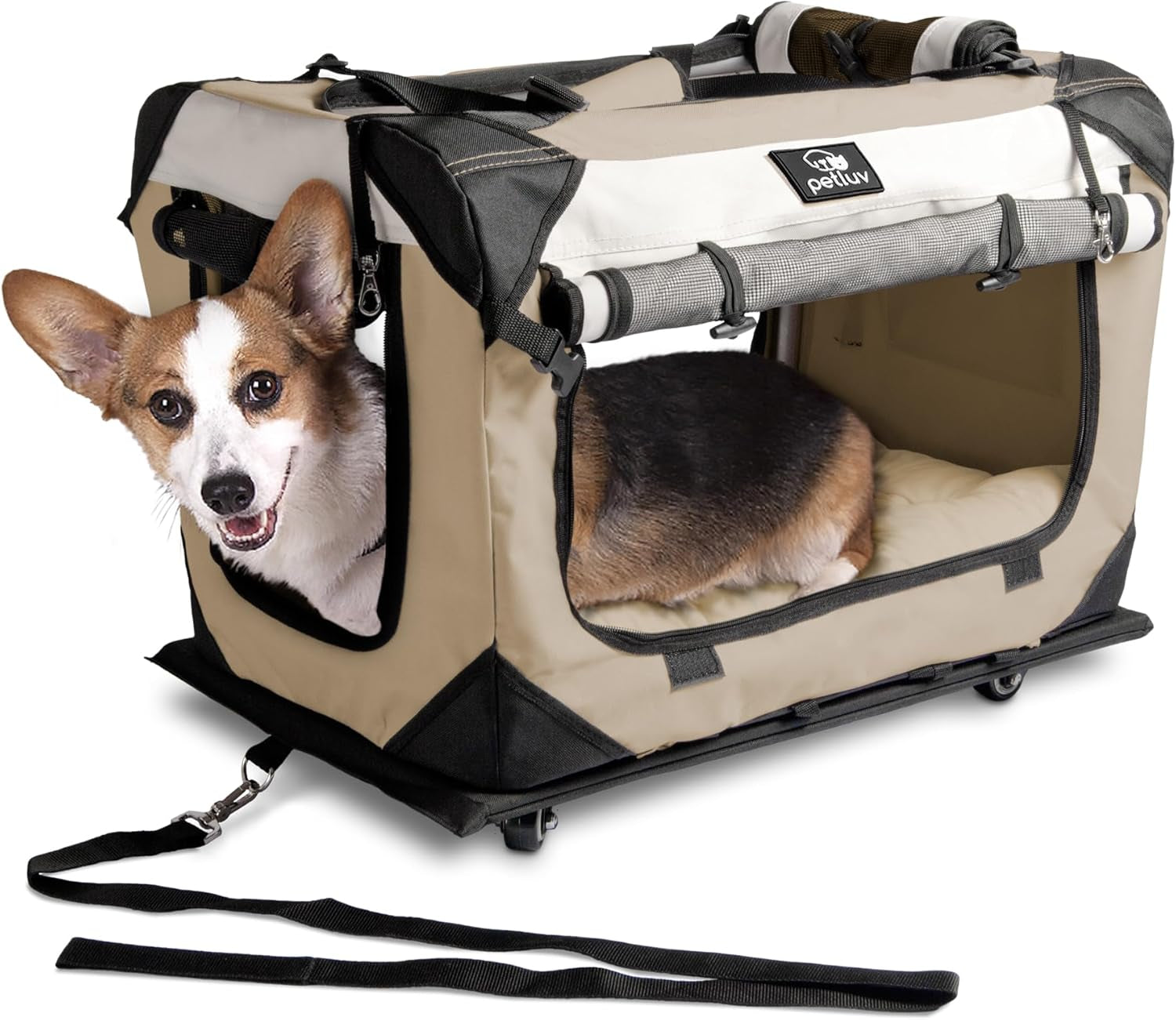 Large Cat Carrier & Dog Carrier for 2 Cats or Medium Dog. Soft Sided Pet Carrier for Travel. Collapsible, Portable Cat Bag with Soft Bed, Top & Side Loading, Locking Zippers, Puppy Crate & Cat Kennel