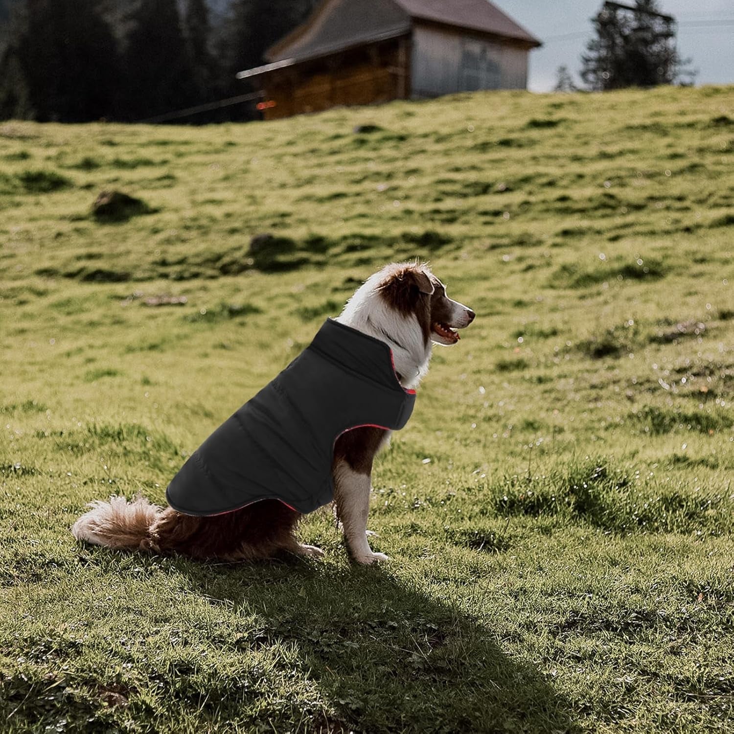 Plaid Dog Fleece Vest, Reversible Warm Dog Clothes, Winter Dog Coat for Cold Weather, Dog Fleece Jacket with Pockets, Sweaters for Small Medium Large Dogs Christmas Costume