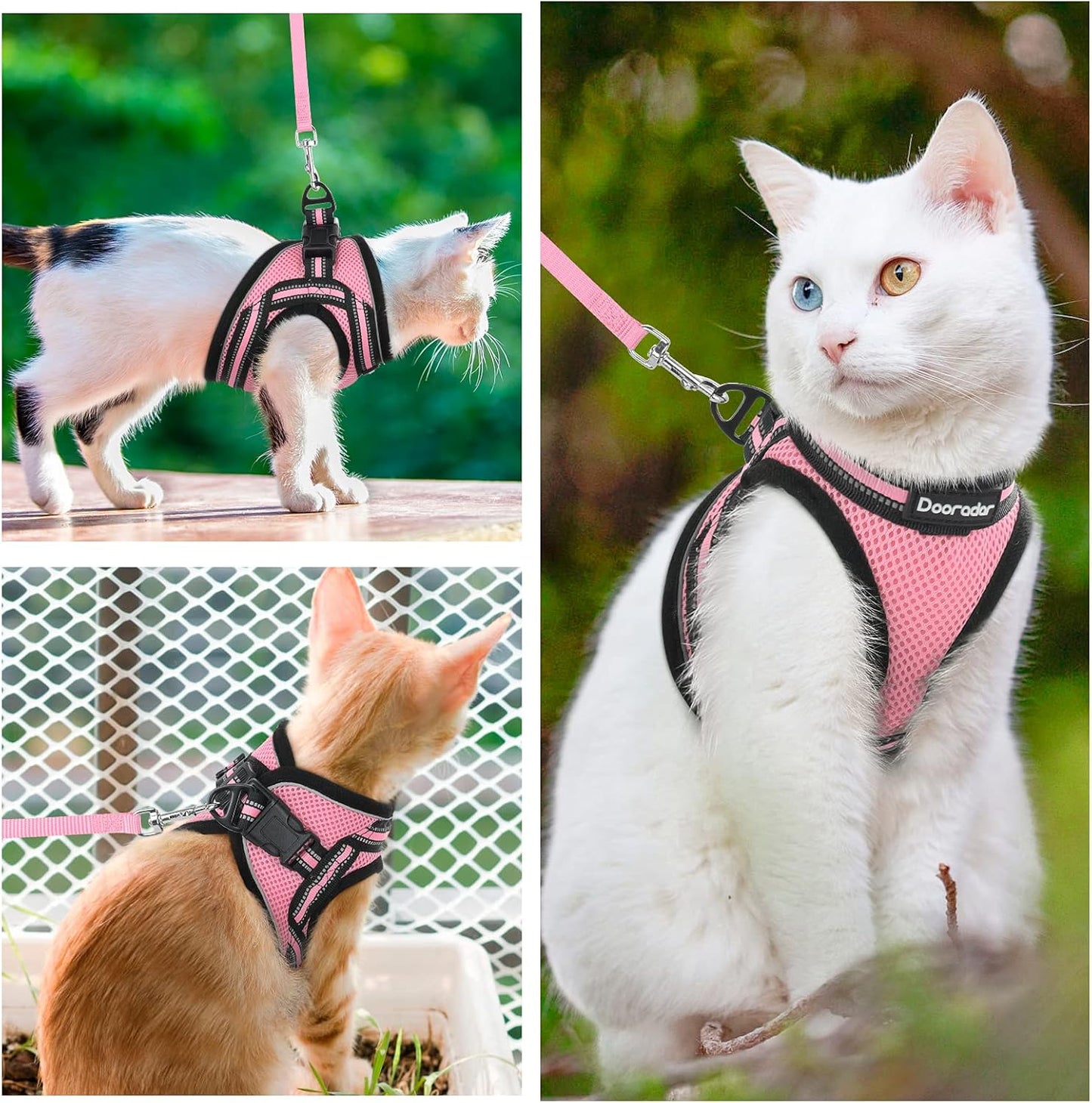 Cat Harness and Leash, Adjustable Step-In Escape Proof Kitten Harness with Reflective Strip, Soft Breathable Air Mesh Vest for Small Medium Cats, Easy Control Cat Jacket for Walking Training