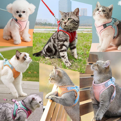 Cat Harness,Leash and Collar Set,Escape Proof Kitten Vest Harness for Walking,Easy Control Night Safe Pet Harness with Reflective Strap and Bell for Small Large Kitten,Fit for Puppy,Rabbit