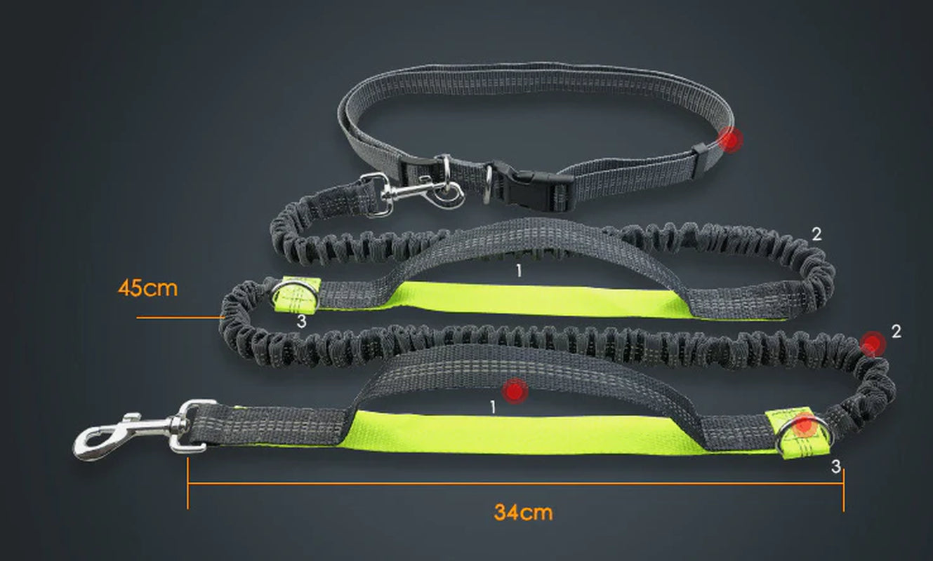 Ultimate Hands-Free Reflective Dog Leash with Multi-Function Features