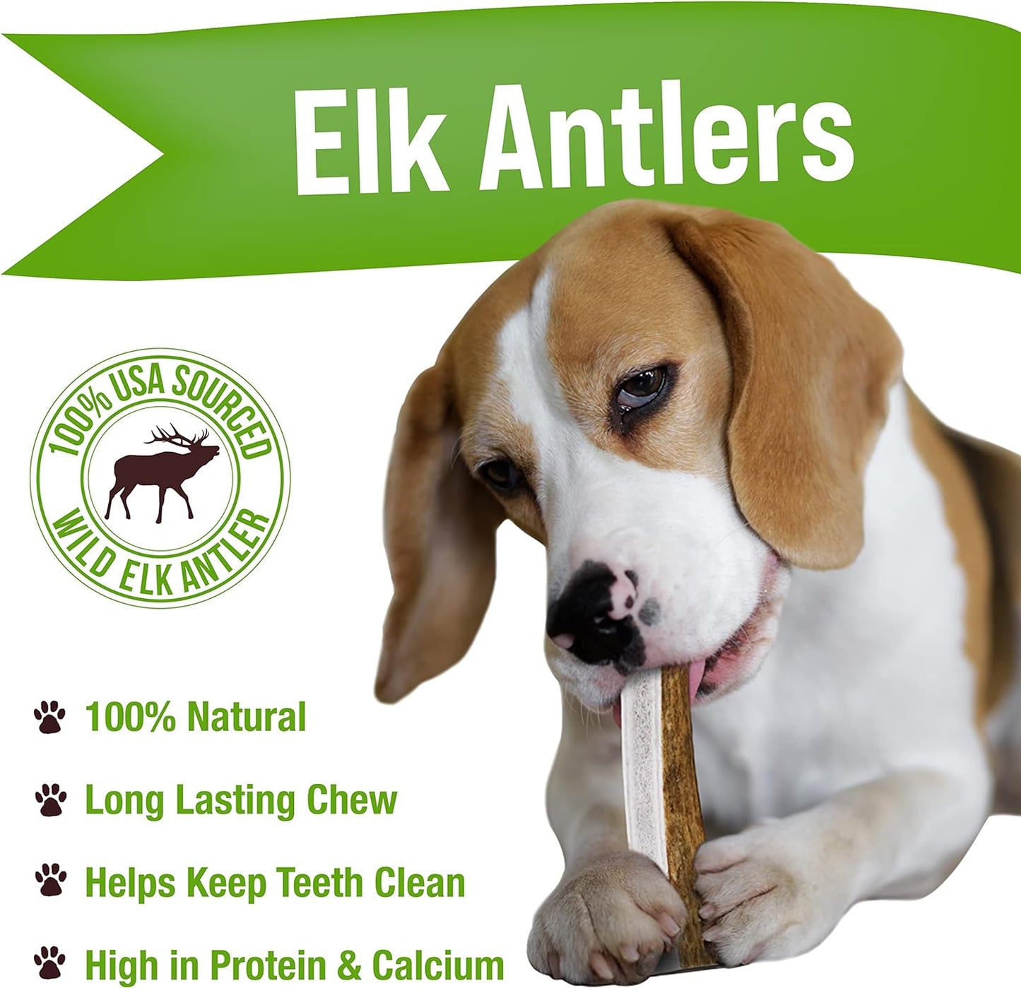 Dog Chews, Elk Antlers for Dogs, Long Lasting Dog Bones for Aggressive Chewers, All Natural, No Preservatives, Wild Shed in the USA (Medium)