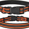 | Nylon Night Light Glow Collar for Medium Dogs | Reflective Band Cat Collar | Fluorescence Self-Luminescence Strap Puppy Collar | Safe Night Walk Collars for Dogs (Lime, S)