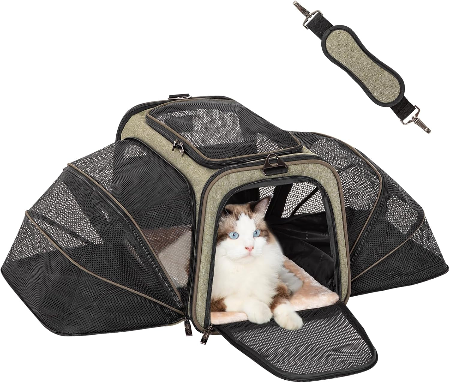 Expandable Cat Carriers Airline Approved, 16"X10"X9" Small Dog Carrier Soft-Sided Portable Washable Pet Travel Carrier with Two Extension for Kitten,Rabbit, Puppy, Small Animal