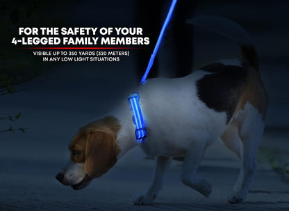 LED Dog Collar USB Rechargeable - Bright & High Visibility Lighted Glow Collar for Pet Night Walking - Weatherproof, in 6 Colors & 6 Sizes (Blue Large)