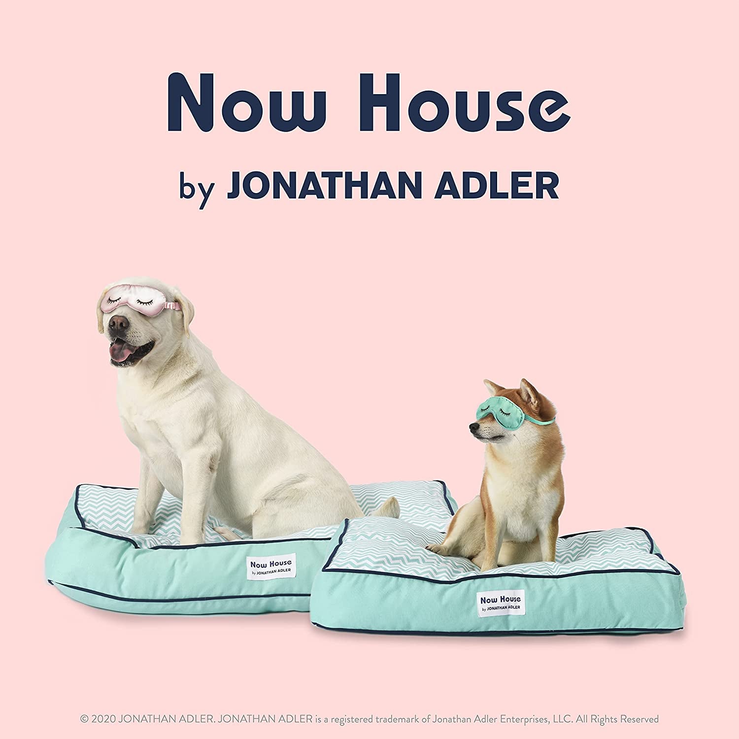 Now House for Pets by Jonathan Adler Teal Chevron Cushion Dog Bed, Medium Medium Dog Bed Washable Dog Bed for Medium Dogs by  (FF15503)