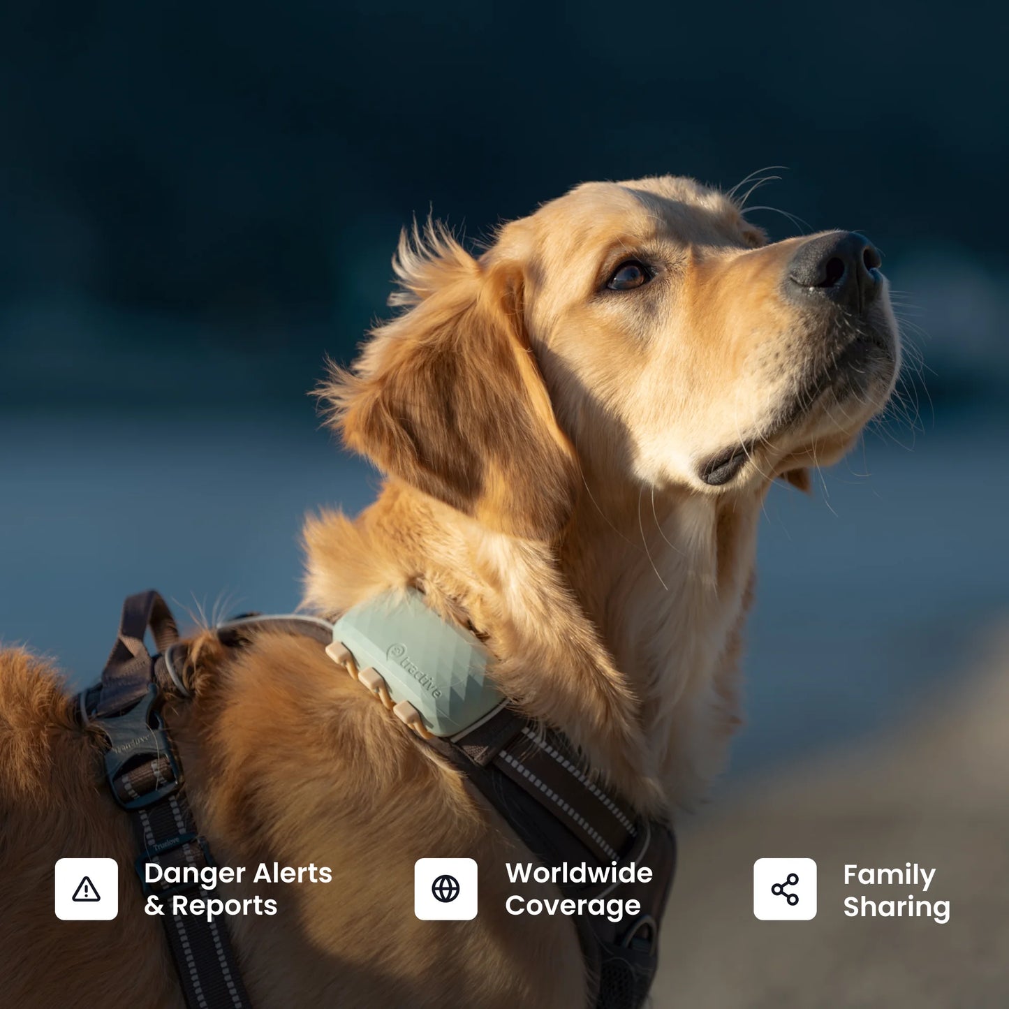 XL Smart Dog GPS Tracker with Vital Signs Monitoring (Green)