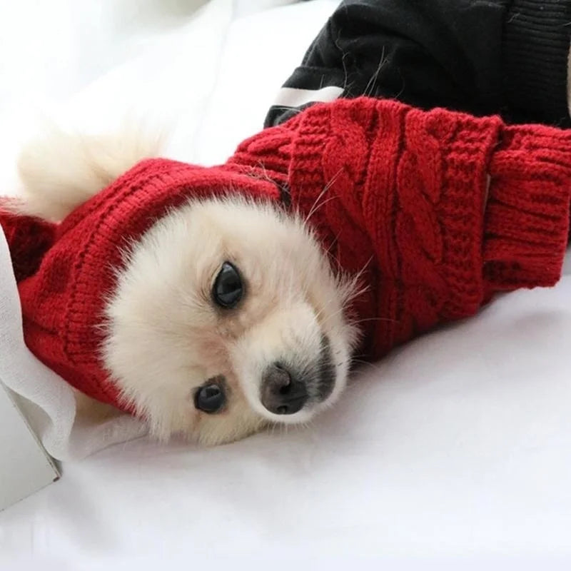 Cozy Winter Knitted Hat & Scarf Set for Dogs - Stylish and Warm Christmas Costume for Your Furry Friend