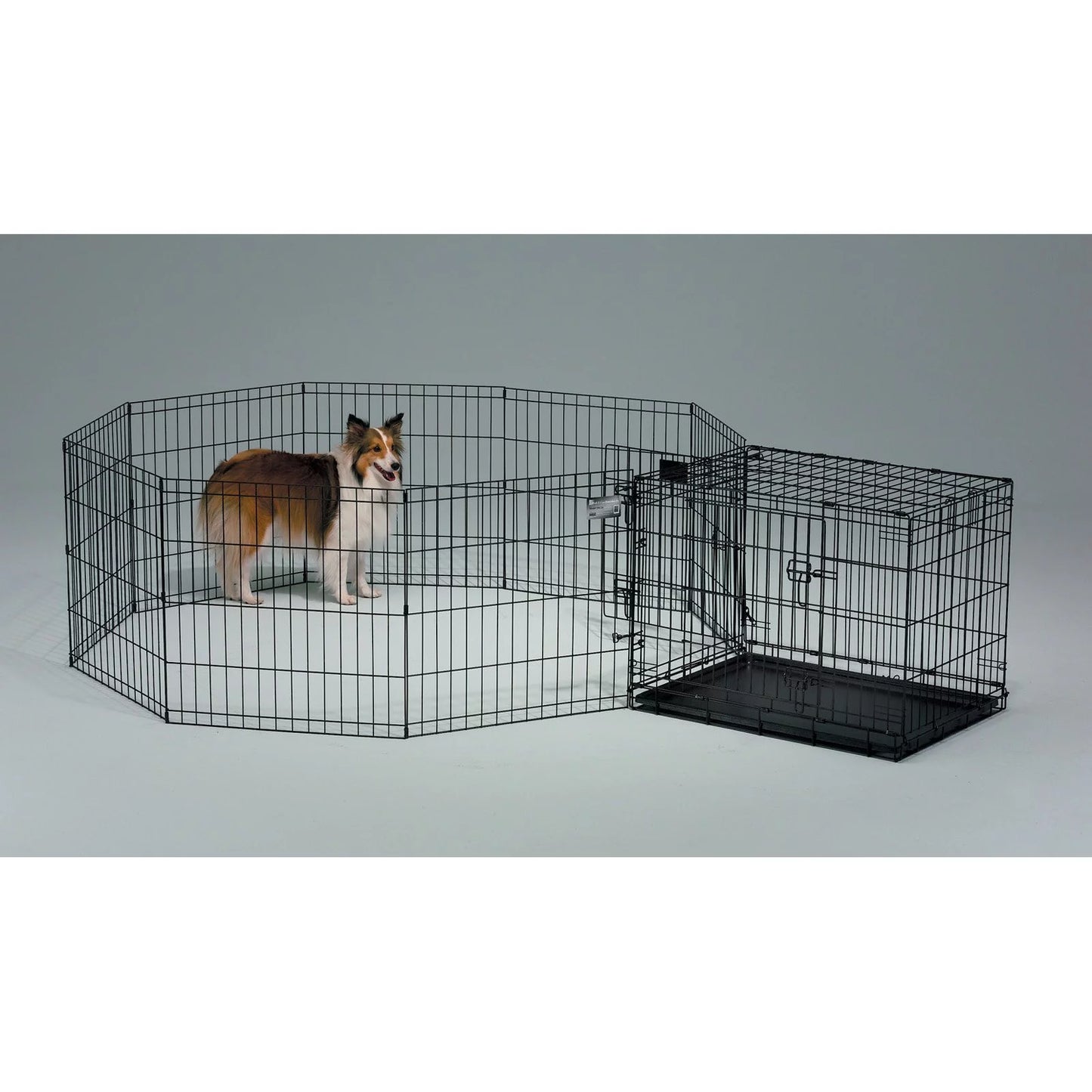 Newly Enhanced Double Door Icrate Dog Crate, Includes Leak-Proof Pan, Floor Protecting Feet, Divider Panel & New Patented Features, Measures 36.6L X 21.9W X 24.5H Inches, Black