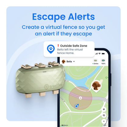 XL Smart Dog GPS Tracker with Vital Signs Monitoring (Green)