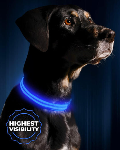 LED Dog Collar USB Rechargeable - Bright & High Visibility Lighted Glow Collar for Pet Night Walking - Weatherproof, in 6 Colors & 6 Sizes (Blue Large)