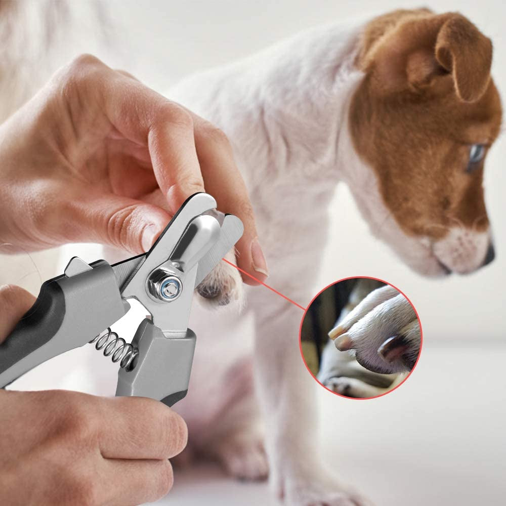 Dog Nail Clippers,Dog Nail Trimmers for Large Breed Dog with Quick Sensor,Safari Professional Cat Nail Clipper with Safety Guard and Nail File.