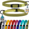 Cat Collar with Bell Kitten Rolled Leather Collars Safety QR ID Name Tag (Light Blue)